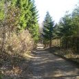 En direction du Col des Sept Chemins