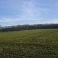 Sundgau à Courtelevant
