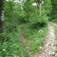 bifurcation vers la fente de Babre