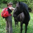 copain comme cheval
