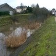 Chemin de hallage