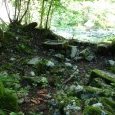 ruines à la Charbonnière